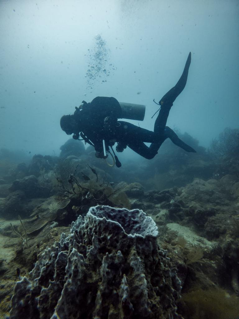 Scuba diving near the wonders at the bottom of the sea
