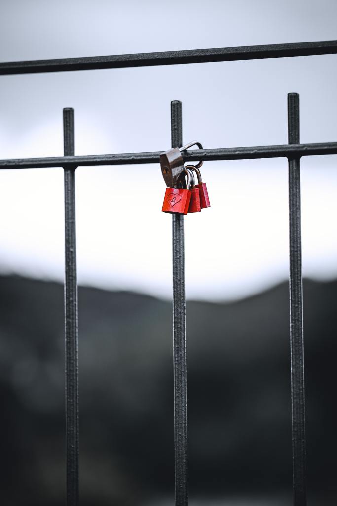 Padlocks on fence